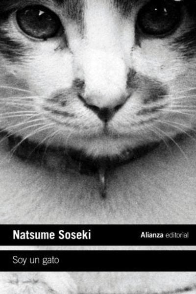 Produktbild: Soy un gato