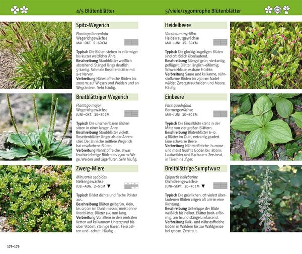 Produktbild: Blumen der Alpen