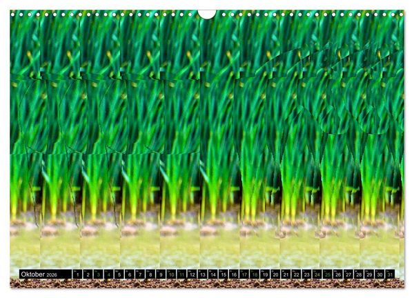 Produktbild: Magische Bilder - Stereogramme und 3D-Illusionen (Wandkalender 2026 DIN A3 quer), CALVENDO Monatskalender
