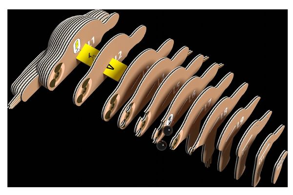 Produktbild: EUGY - 3D Bastelset Faultier