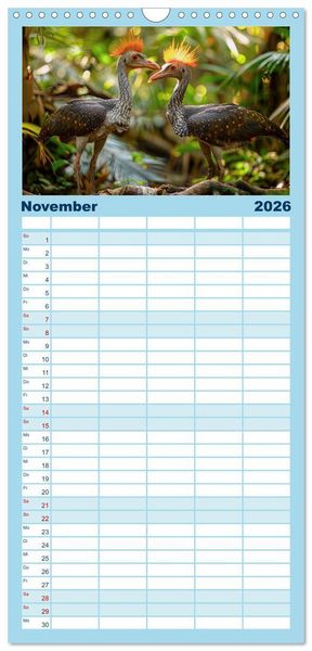 Produktbild: Familienplaner 2026 - Reise in die Urzeit mit 5 Spalten (Wandkalender, 21 x 45 cm) CALVENDO