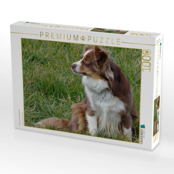 Produktbild: CALVENDO Puzzle Miniatur Australian Shepherd | 1000 Teile Lege-Gr&ouml;&szlig;e 64x48cm Foto-Puzzle f&uuml;r gl&uuml;ckliche Stunden