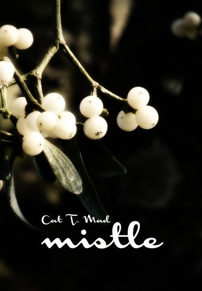 Produktbild: Mistle