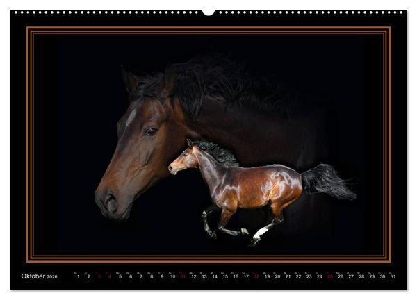 Produktbild: Traumpferde-ART-Collection (Wandkalender 2026 DIN A2 quer), CALVENDO Monatskalender