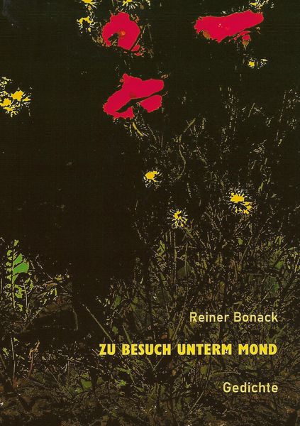 Produktbild: Zu Besuch unterm Mond