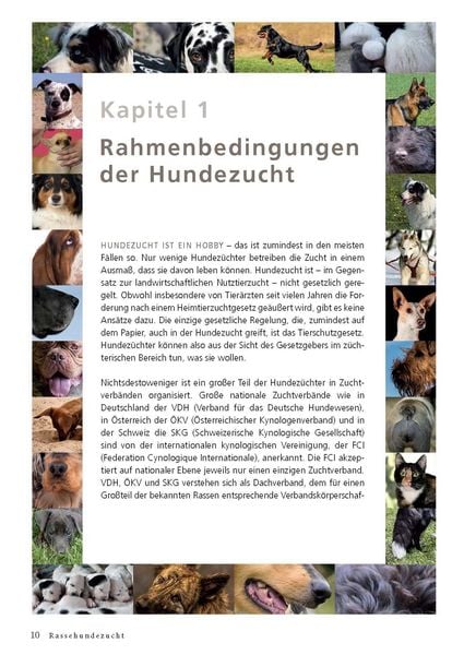 Produktbild: Rassehundezucht