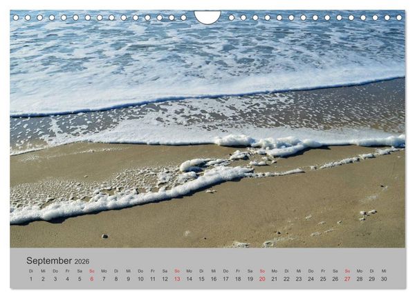 Produktbild: Impressionen von Texel (Wandkalender 2026 DIN A4 quer), CALVENDO Monatskalender