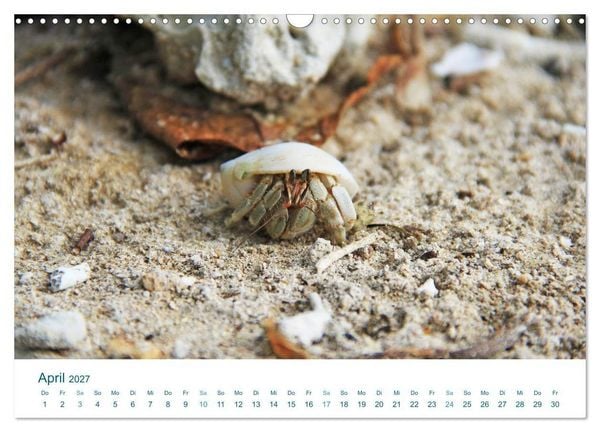 Produktbild: S&uuml;dsee-Insel Huahine - Paradies am Ende der Welt (Wandkalender 2027 DIN A3 quer), CALVENDO Monatskalender