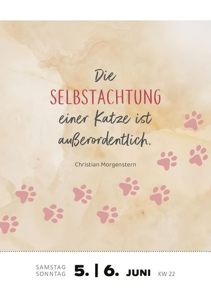 Produktbild: Abrei&szlig;kalender Katzenweisheiten 2027