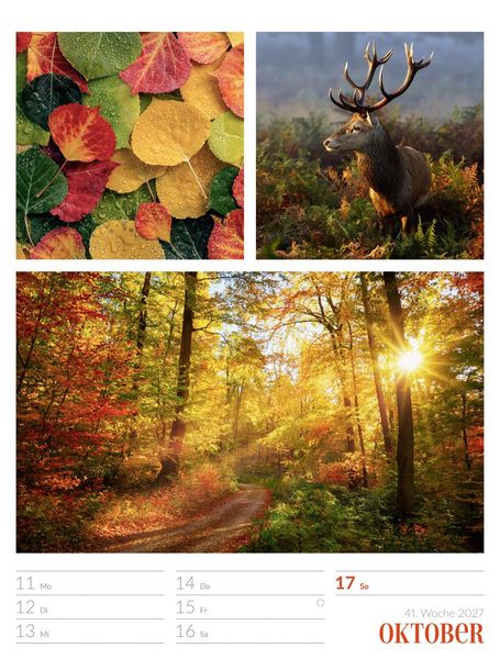 Produktbild: Farben der Natur Wochenplaner Kalender 2027