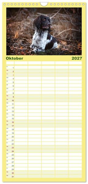Produktbild: Familienplaner 2027 - Passion Jagdhund - Deutsch Langhaar mit 5 Spalten (Wandkalender, 21 x 45 cm) CALVENDO