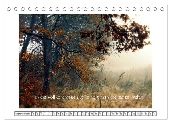 Produktbild: Zitate - Sammlung (Tischkalender 2026 DIN A5 quer), CALVENDO Monatskalender