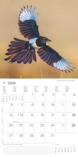 Produktbild: Einheimische Vögel 2026 - Broschürenkalender 30x30 cm (30x60 geöffnet) - Kalender mit Platz für Notizen - Birds - Bildkalender - Wandkalender - Vogelk
