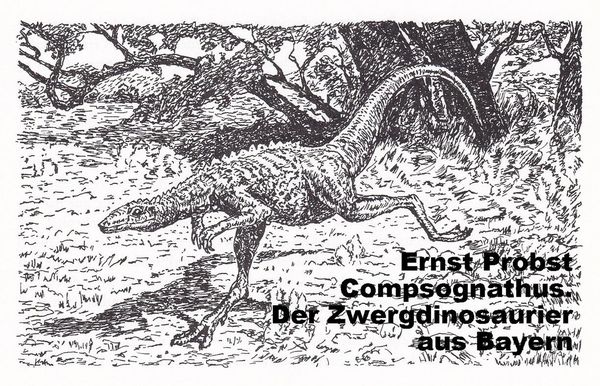 Produktbild: Compsognathus. Der Zwergdinosaurier aus Bayern