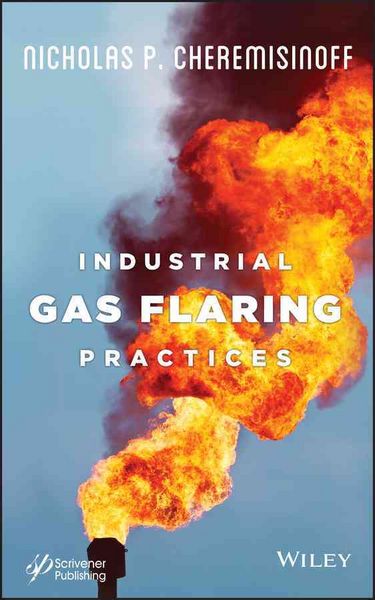 Produktbild: Industrial Gas Flaring Practices