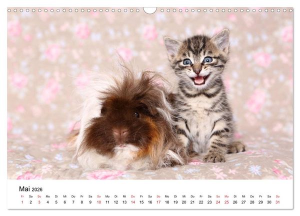 Produktbild: lach mit...just smile (Wandkalender 2026 DIN A3 quer), CALVENDO Monatskalender