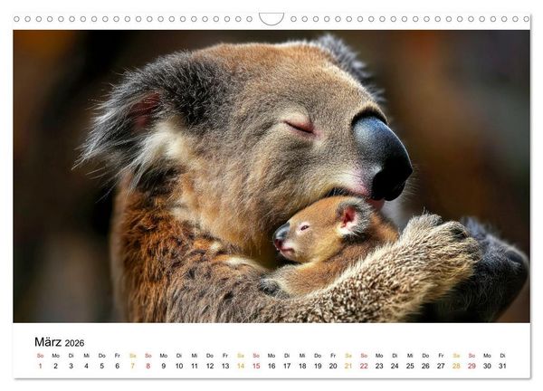 Produktbild: Tierm&uuml;tter - die sanfte Seite der Wildnis (Wandkalender 2026 DIN A3 quer), CALVENDO Monatskalender