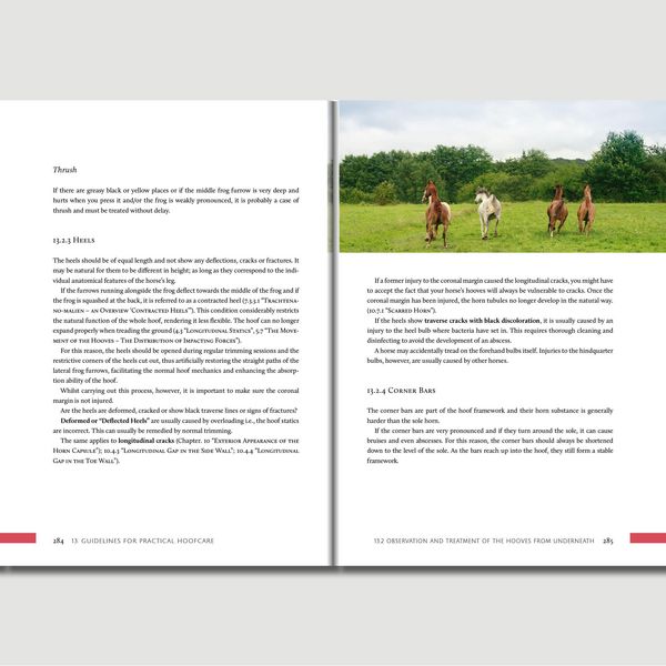 Produktbild: Hoofwork