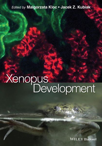 Produktbild: Xenopus Development
