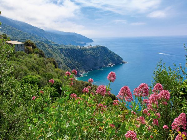 Produktbild: CALVENDO Puzzle Trail &ouml;stlich von Vernazza | 1000 Teile Lege-Gr&ouml;&szlig;e 64x48cm Foto-Puzzle f&uuml;r gl&uuml;ckliche Stunden