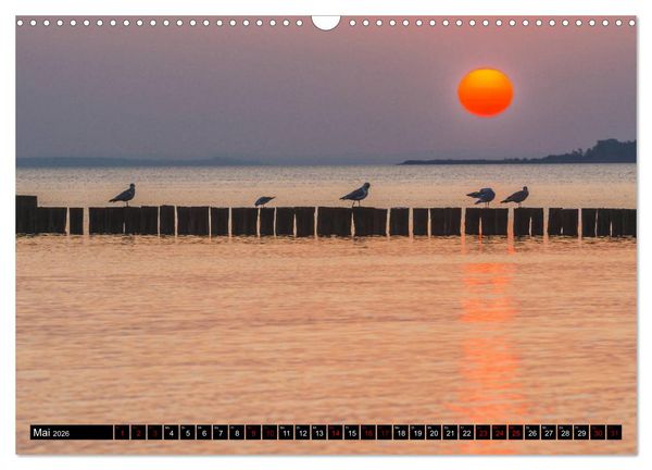 Produktbild: Ostsee - Boltenhagen (Wandkalender 2026 DIN A3 quer), CALVENDO Monatskalender