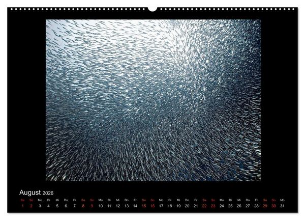 Produktbild: Ocean-Art / CH-Version (Wandkalender 2026 DIN A2 quer), CALVENDO Monatskalender