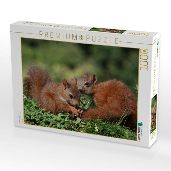 Produktbild: CALVENDO Puzzle Jacky und Jack | 1000 Teile Lege-Gr&ouml;&szlig;e 64x48cm Foto-Puzzle f&uuml;r gl&uuml;ckliche Stunden