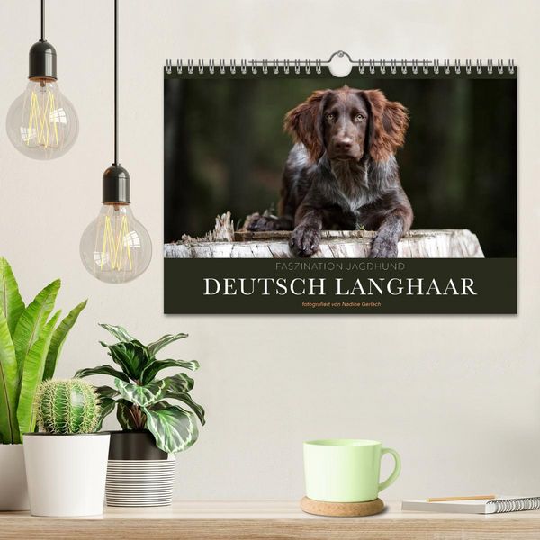 Produktbild: Faszination Jagdhund - Deutsch Langhaar (Wandkalender 2026 DIN A4 quer), CALVENDO Monatskalender