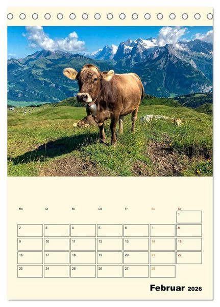 Produktbild: Gl&uuml;ckliche Bergk&uuml;he (Tischkalender 2026 DIN A5 hoch), CALVENDO Monatskalender