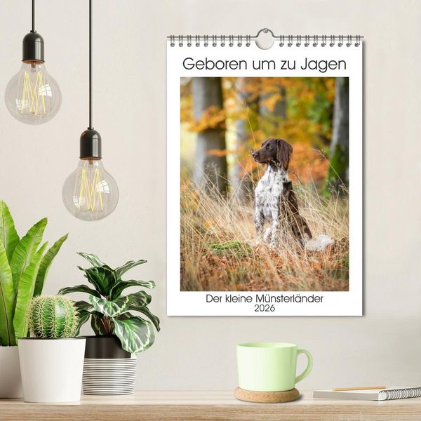 Produktbild: Geboren um zu Jagen. Der kleine M&uuml;nsterl&auml;nder (Wandkalender 2026 DIN A4 hoch), CALVENDO Monatskalender