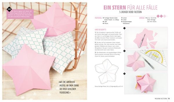 Produktbild: Weihnachtssterne? Gerne!