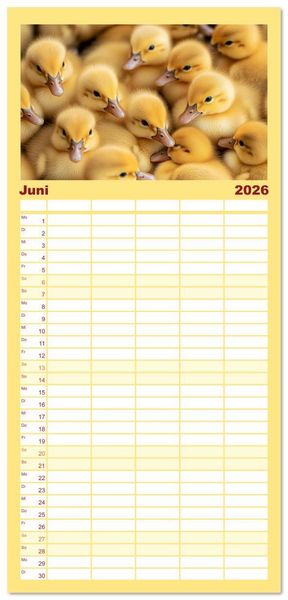 Produktbild: Familienplaner 2026 - Kuschelblicke mit 5 Spalten (Wandkalender, 21 x 45 cm) CALVENDO