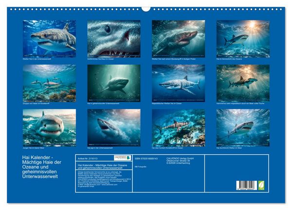 Produktbild: Hai Kalender - M&auml;chtige Haie der Ozeane und geheimnisvollen Unterwasserwelt (Wandkalender 2026 DIN A2 quer), CALVENDO Monatskalender
