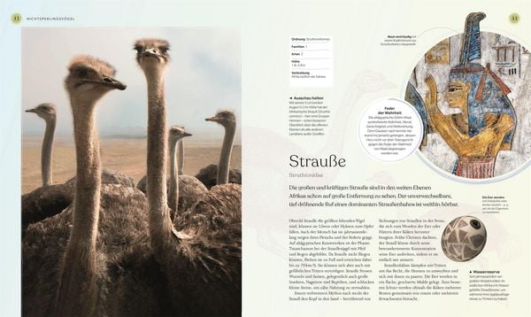 Produktbild: V&ouml;gel - Eine Natur- und Kulturgeschichte