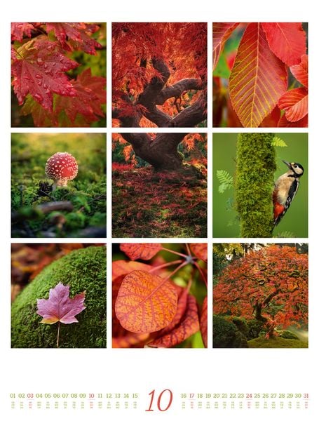 Produktbild: Inspiration Natur Kalender 2027
