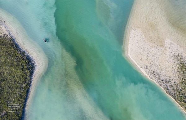 Produktbild: Das Wasser der Alpen