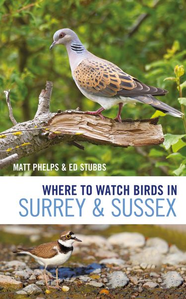 Produktbild: Where to Watch Birds in Surrey and Sussex