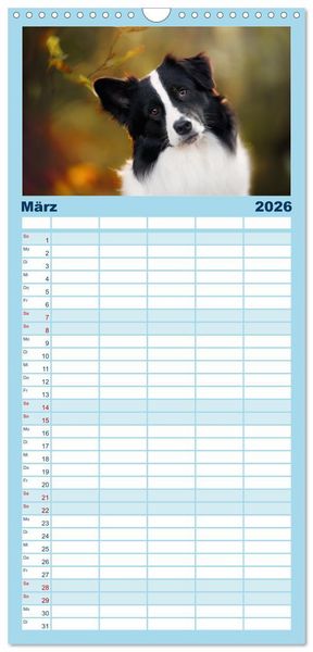Produktbild: Familienplaner 2026 - H&uuml;tehunde - H&uuml;ter der Herzen mit 5 Spalten (Wandkalender, 21 x 45 cm) CALVENDO