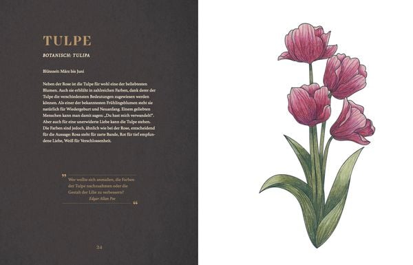 Produktbild: Vintage Flowers – Die Sprache der Blumen
