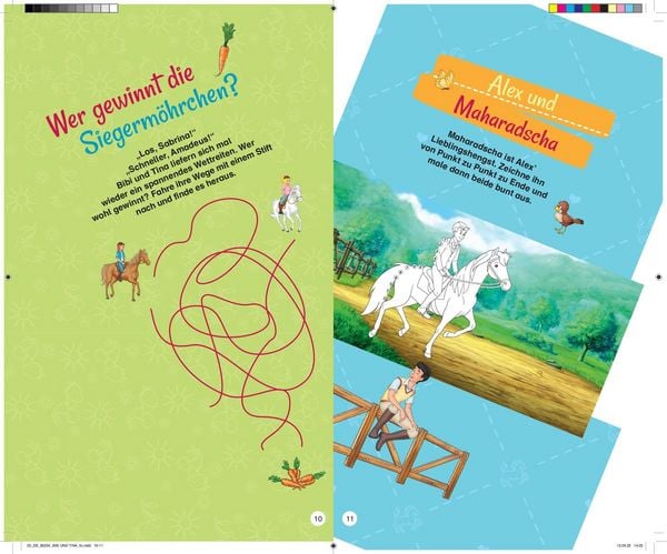 Produktbild: Bibi & Tina - Ich bin jetzt ein Schulkind I Schult&uuml;tenbuch