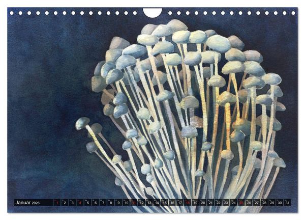 Produktbild: Pilze in Aquarell (Wandkalender 2026 DIN A4 quer), CALVENDO Monatskalender