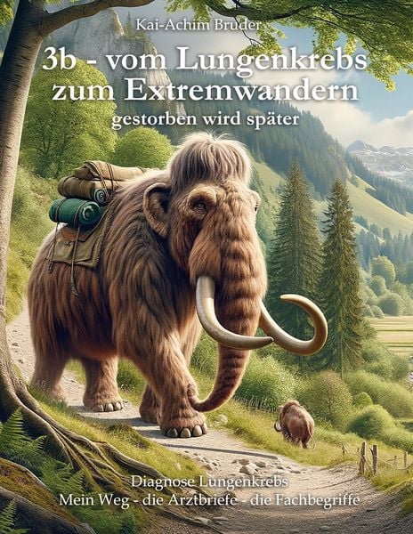 Produktbild: 3b - vom Lungenkrebs zum Extremwandern
