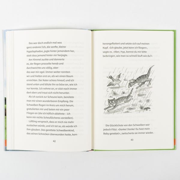 Produktbild: Der kleinste Dinosaurier