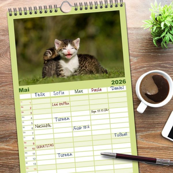 Produktbild: Familienplaner 2026 - L&auml;chelnd durchs Jahr - Katzenkinder -Familienplaner hoch mit 5 Spalten (Wandkalender, 21 x 45 cm) CALVENDO
