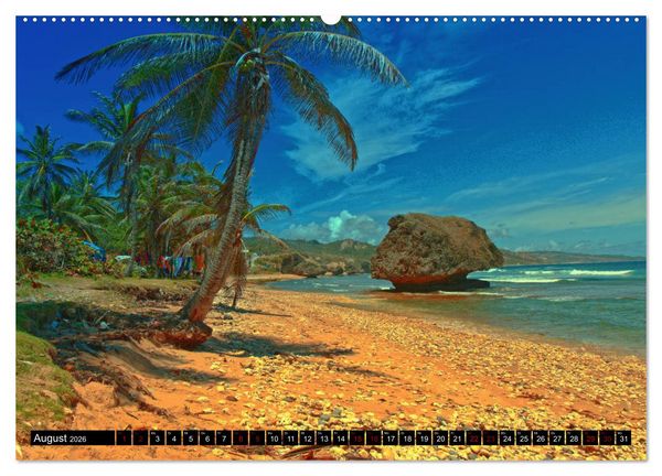 Produktbild: Barbados (hochwertiger Premium Wandkalender 2026 DIN A2 quer), Kunstdruck in Hochglanz