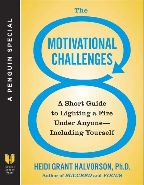 Produktbild: The 8 Motivational Challenges