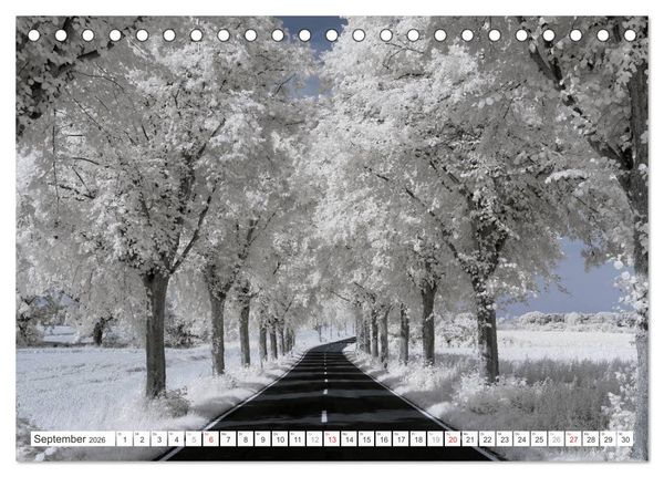 Produktbild: Zauberhafte Infrarot-Fotografie (Tischkalender 2026 DIN A5 quer), CALVENDO Monatskalender