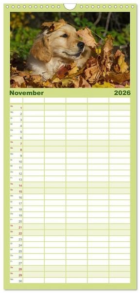 Produktbild: Familienplaner 2026 - Welpen 2026 mit 5 Spalten (Wandkalender, 21 x 45 cm) CALVENDO