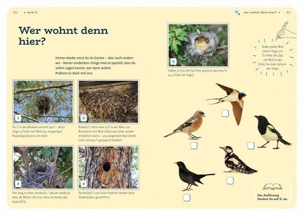Produktbild: Dein Projekt. Dein Guide. Gartenv&ouml;gel einladen & verw&ouml;hnen