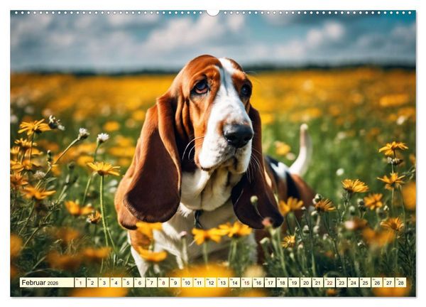 Produktbild: Basset Hound - unverkennbar (hochwertiger Premium Wandkalender 2026 DIN A2 quer), Kunstdruck in Hochglanz